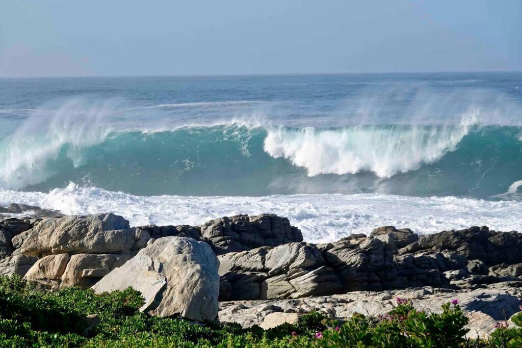 Whales & Waves Villa Hermanus Exterior photo